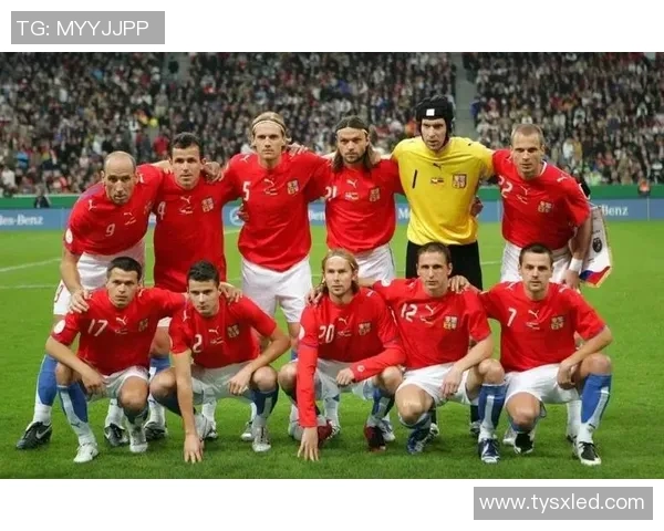 比利时与爱尔兰激战欧洲杯16年经典对决回顾与分析 比利时与爱尔兰激战欧洲杯16年经典对决回顾与分析