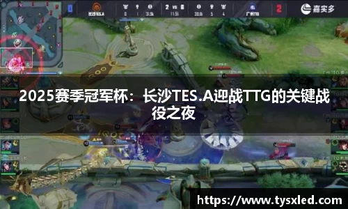 NG体育南宫APP