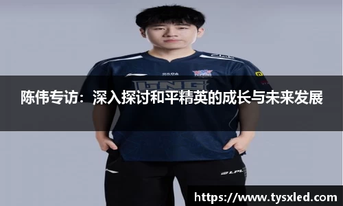 陈伟专访：深入探讨和平精英的成长与未来发展