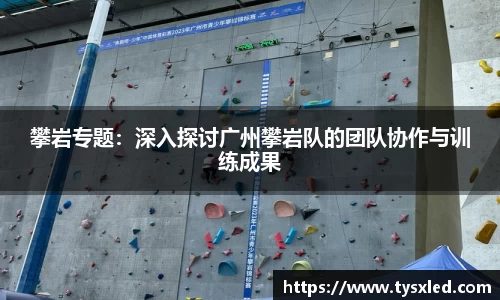 NG体育南宫注册登录